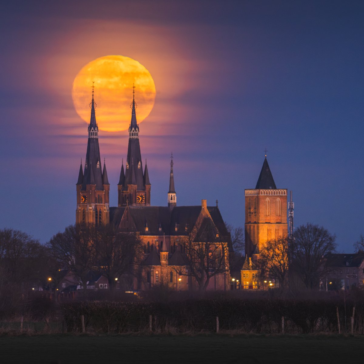 Albert Dros tweet media