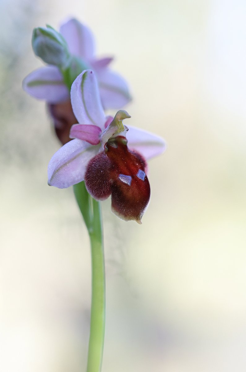 Matt Berry tweet media