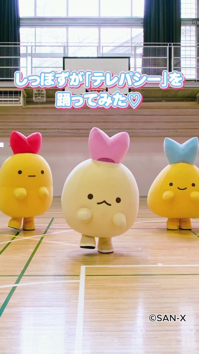 すみっコぐらし【公式】 (@sumikko_335) / Posts / X