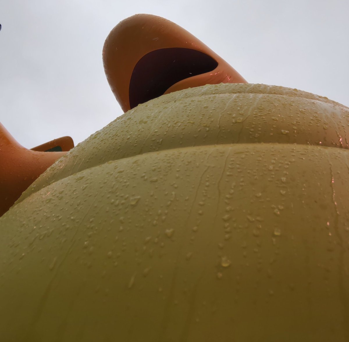 キープ・Keep tweet media