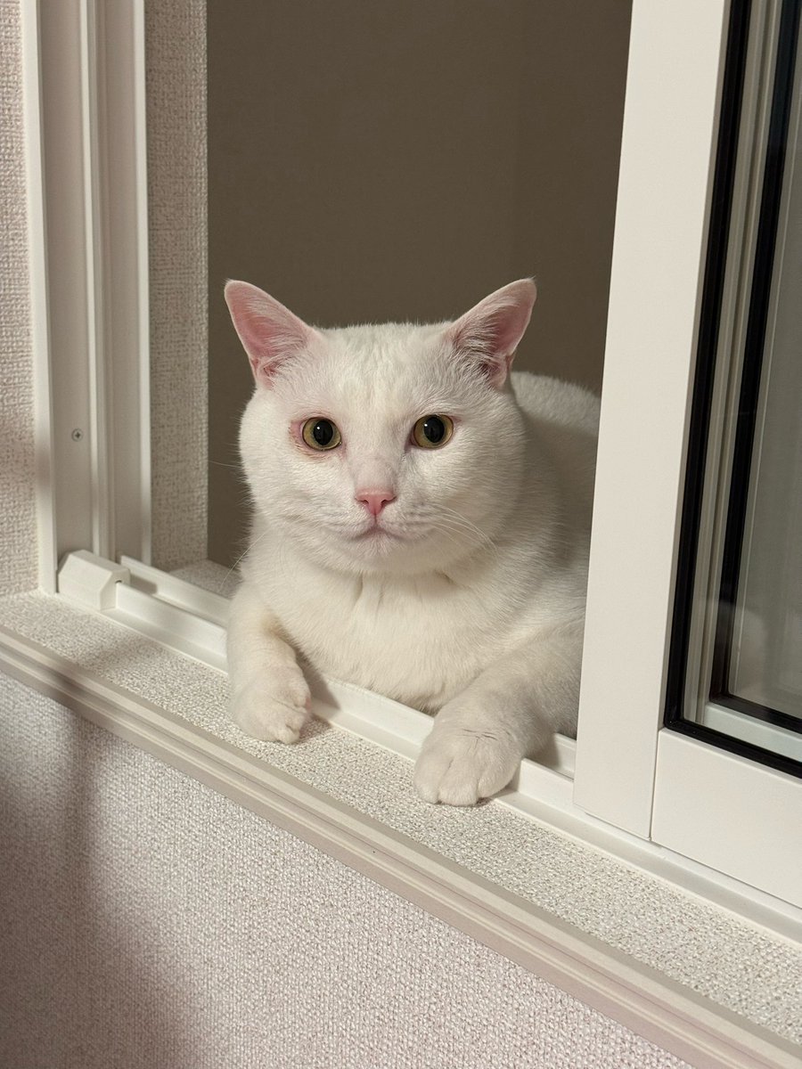 なちゃんゆページ 大好きな夏が終わってしまった（ ; ; ）