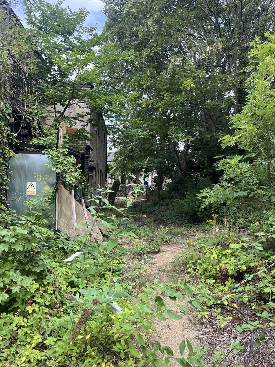 Ladywell Live tweet media