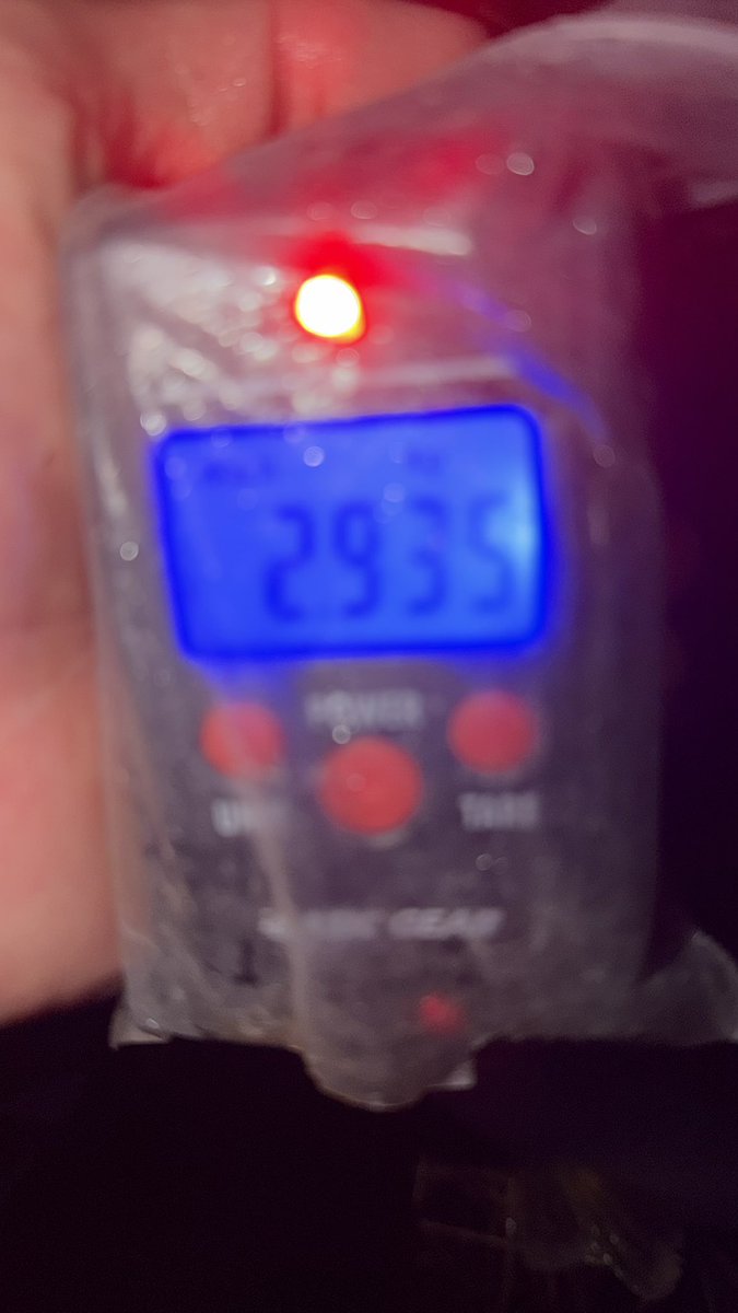 Yuuto🎣 tweet media