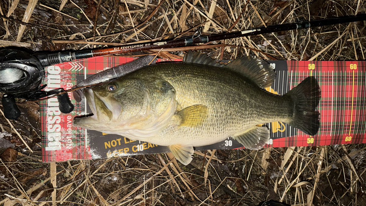 Yuuto🎣 tweet media