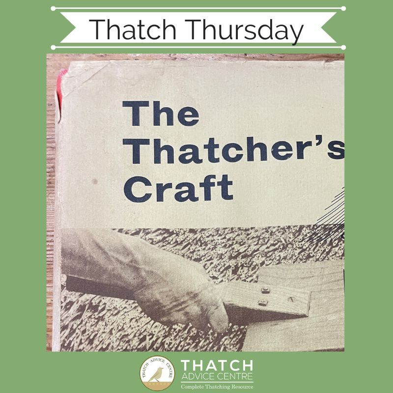 Thatch Advice Centre tweet media