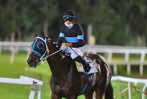 Dulce De Leche 🪄✨️ tweet media