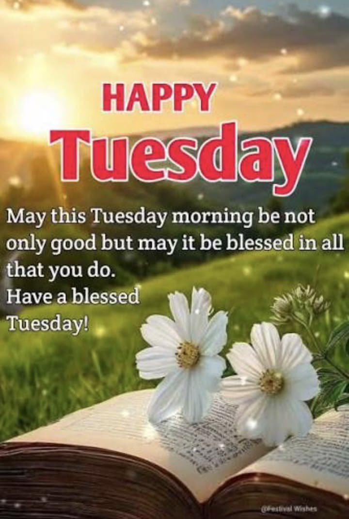 DeepDimples1977's tweet photo. IT’s Inspiration Tuesday! Good morning and Happy Tuesday https://t.co/aaL6LA9JxU