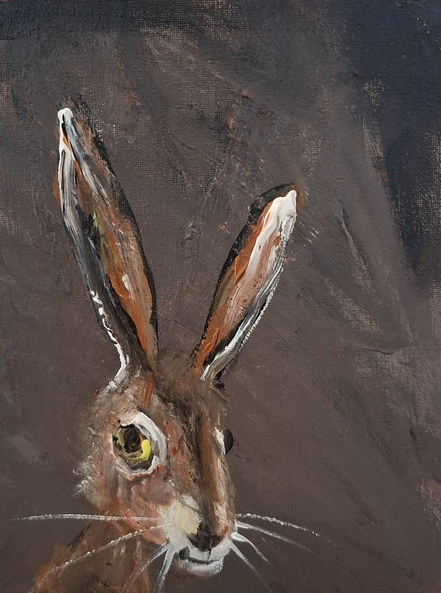 kara doherty artist tweet media