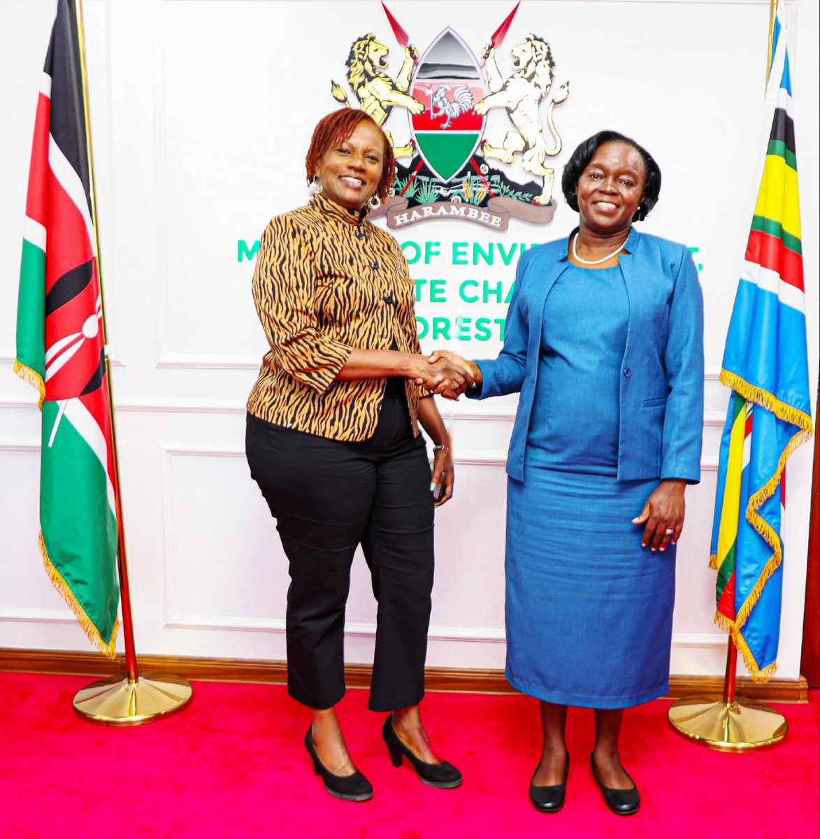 Joyce Gituro tweet media