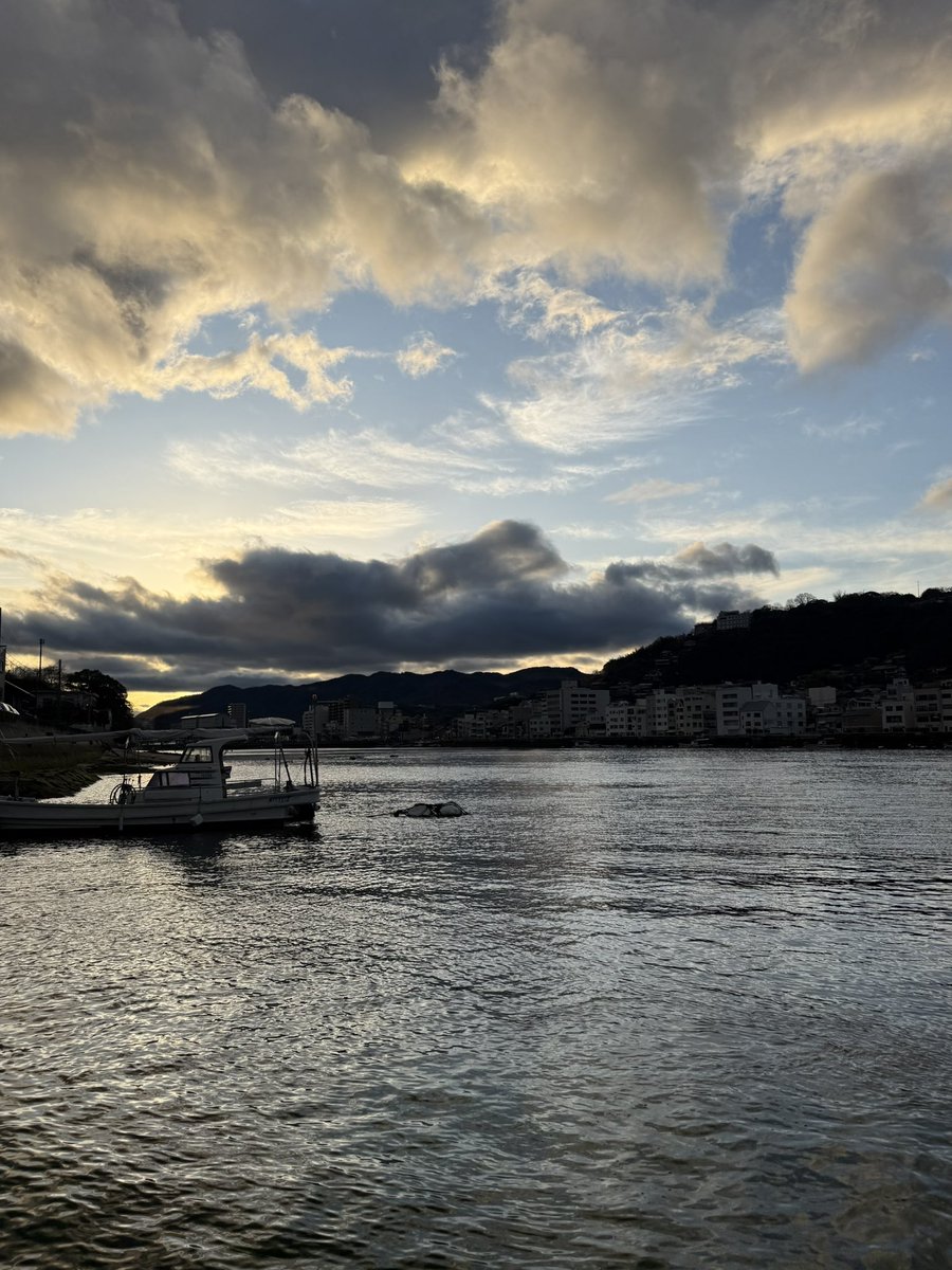 chocotoko tweet media