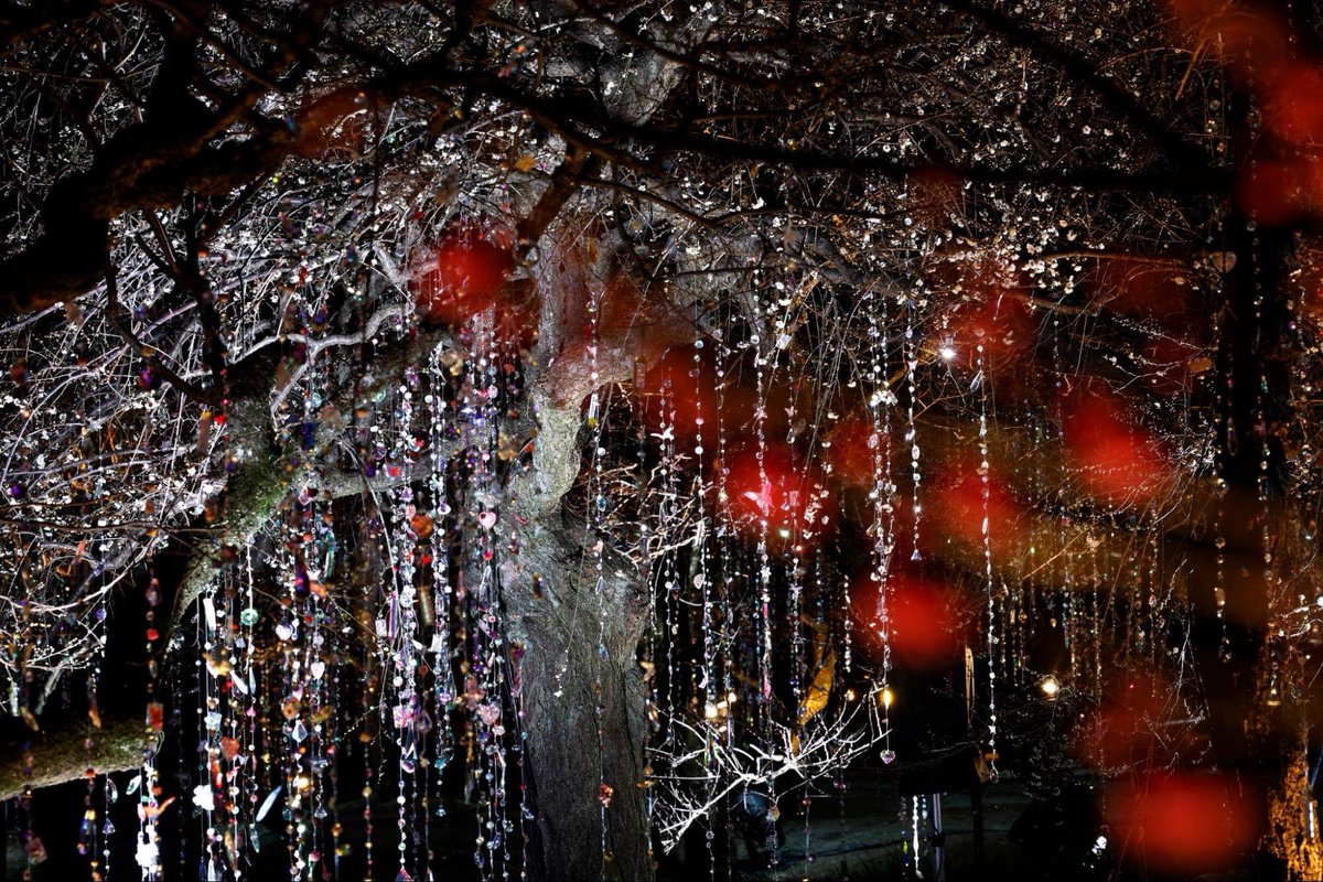 ／
KYOTO NIPPON FESTIVAL 2026 -時をこえ、華ひらく庭-
＼

<a href="/kyotonipponfes/">KYOTO NIPPON FESTIVAL 2026 -時をこえ、華をひらく庭-</a>
<a href="/ninagawamika/">蜷川実花</a>

✨きものと【new!】
「きものでミュージアム」vol.54
kimonoichiba.com/media/column/1…
<a href="/iizuka_a/">akemi｜ライター｜きもので行く美術館</a>
<a href="/Kimono_ichiba/">京都きもの市場</a>
#京都きもの市場
#きものと