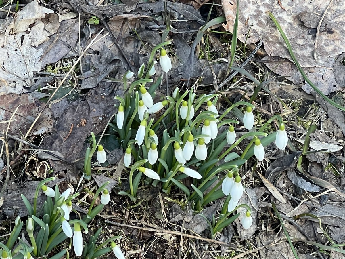 john_haenni's tweet image. BEAUTIFUL #creation of the world‘s CREATOR #nature peaceful #inspiration as a #singersongwriter #songsofcomfort 😊🎧🎶📲✅ fanlink.tv/not-the-end