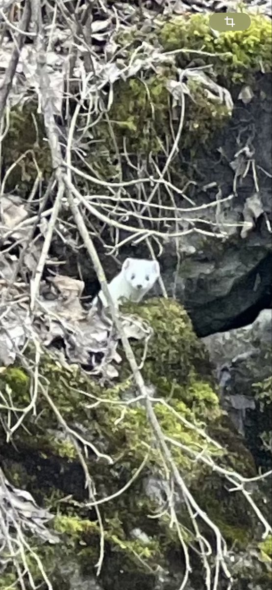 john_haenni's tweet image. BEAUTIFUL #creation of the world‘s CREATOR #nature peaceful #inspiration as a #singersongwriter #songsofcomfort 😊🎧🎶📲✅ fanlink.tv/not-the-end