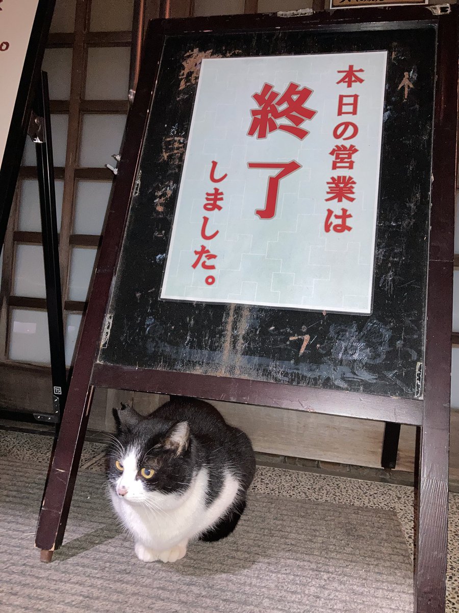 chan😊🐾 tweet media