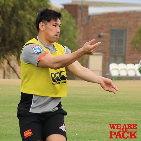 サンウルブズ/SUNWOLVES tweet media