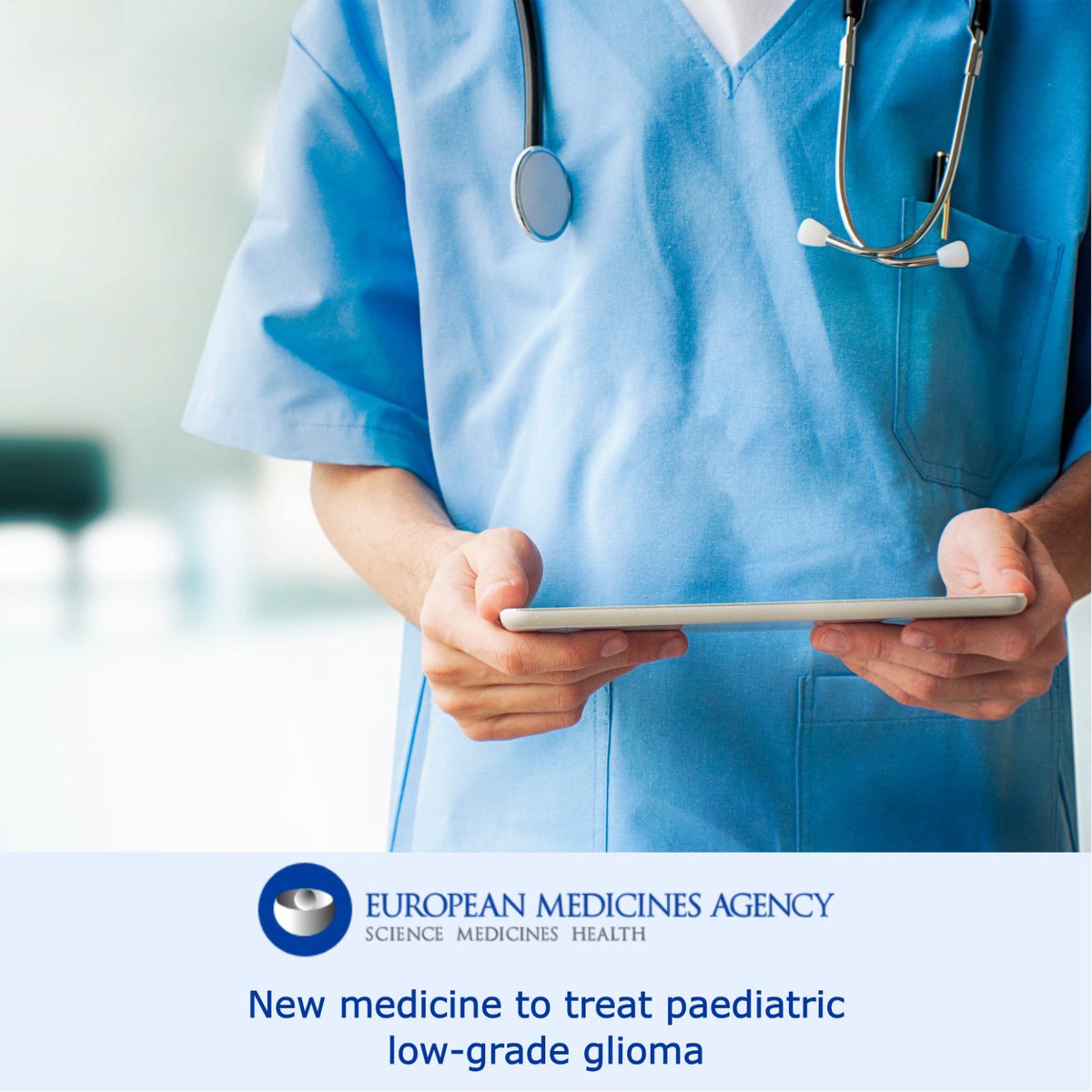 𝗚𝗿𝘇𝗲𝗴𝗼𝗿𝘇 𝗖𝗲𝘀𝘀𝗮𝗸 tweet media