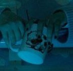 👁️Ann the мыш👁️ tweet media