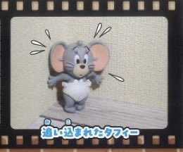 tete_lover_'s tweet photo. トムとジェリー むぎゅっと マスコット 追い込まれたタフィー  フィギュア ガチャ 交換

【譲】 写真1枚目 トム タイク

【求】 同種 タフィー または  
                                   追い込まれたタフィー

お心当たりの方はお声がけ下さい🙇🏻‍♀️🙂‍↕️ https://t.co/rRcv3LQVw0