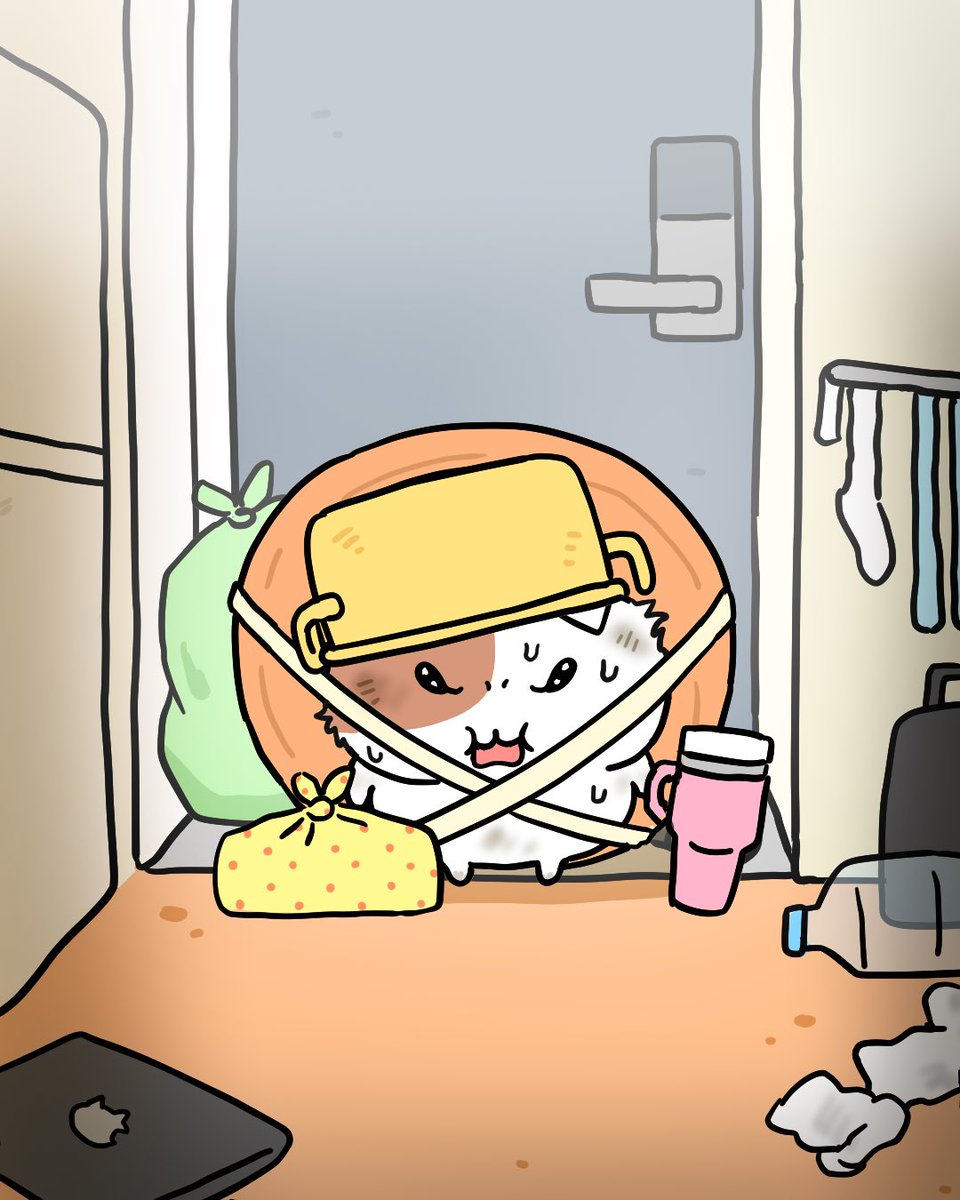 쫀냐미 tweet media