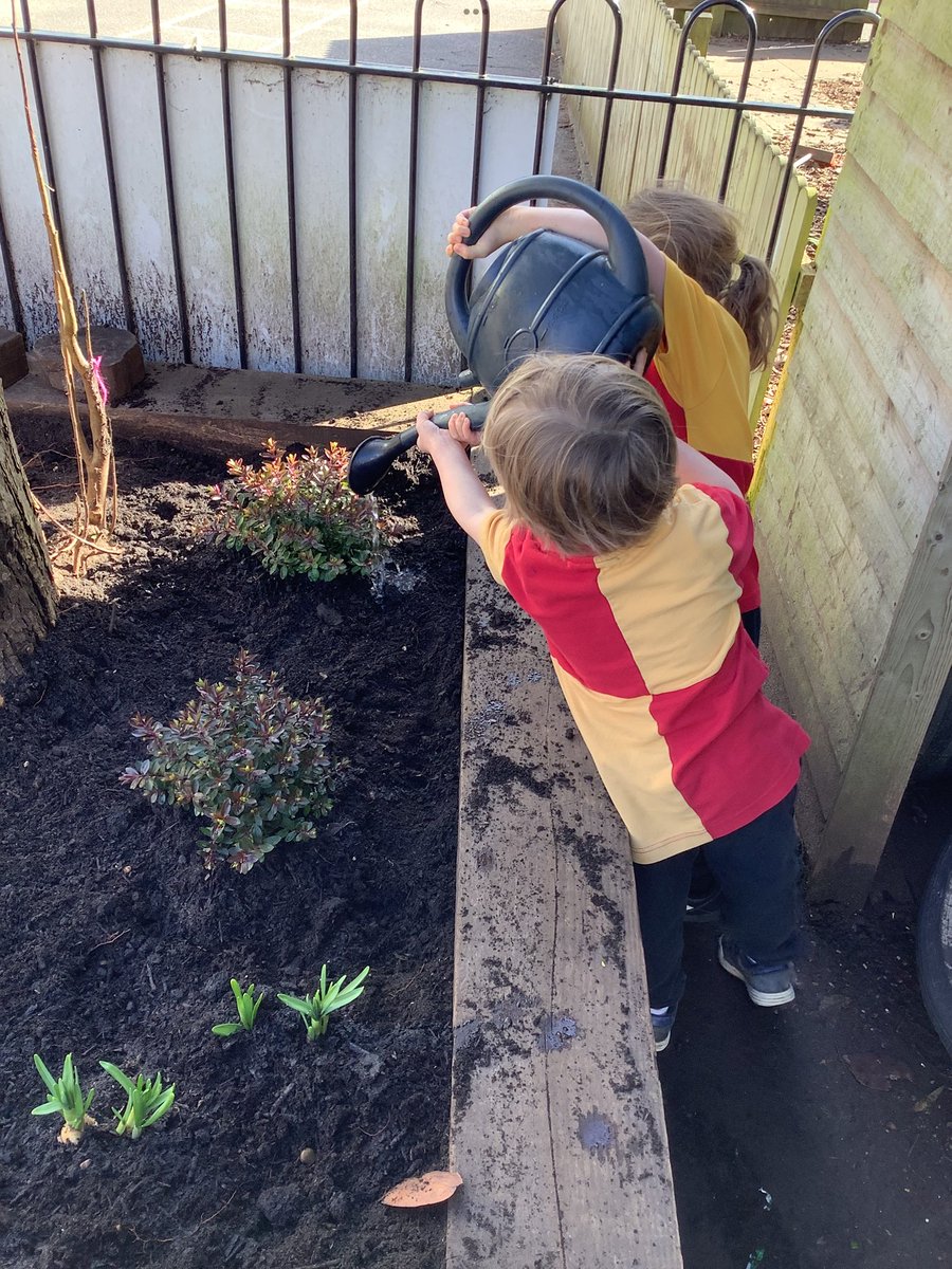 St James's Catholic Primary School tweet media