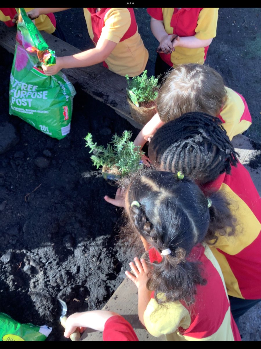 St James's Catholic Primary School tweet media