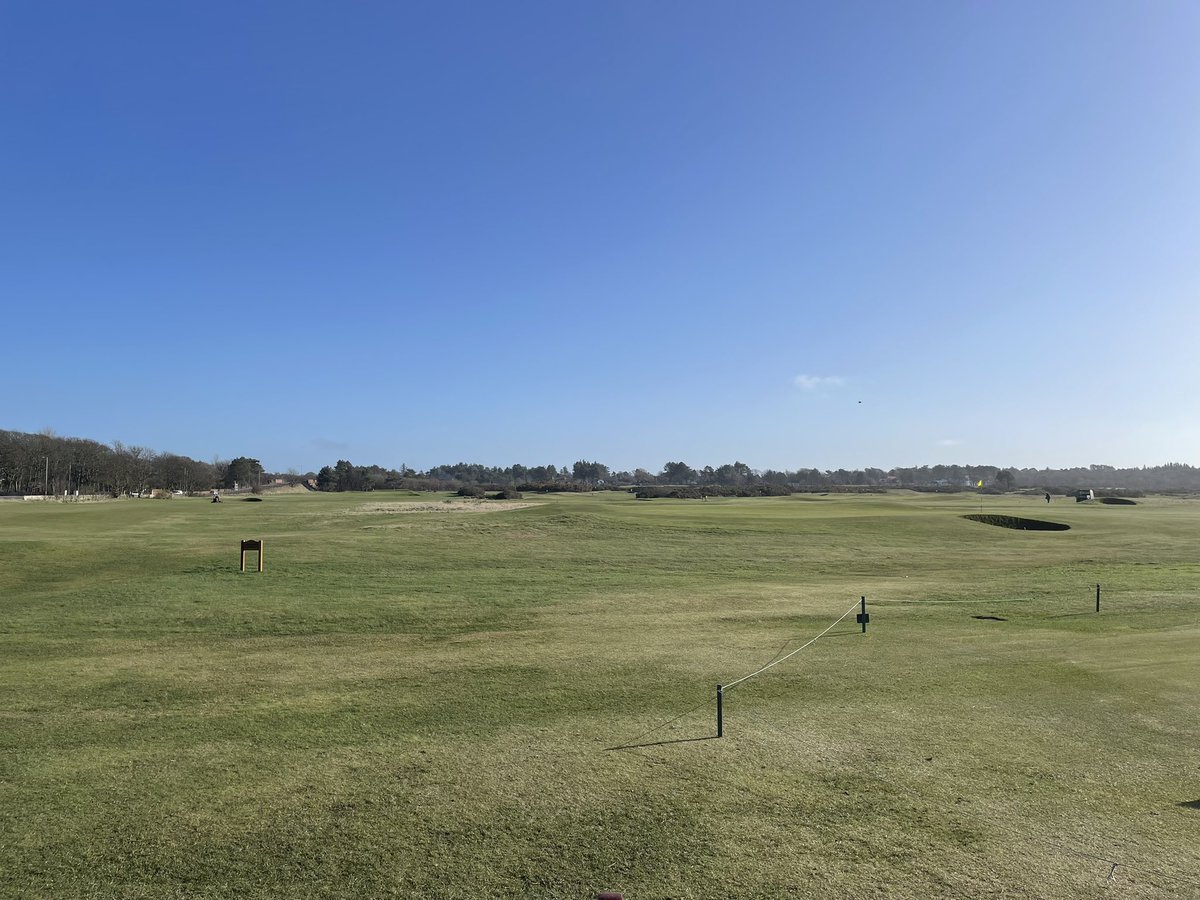 Tom Gilligan tweet media