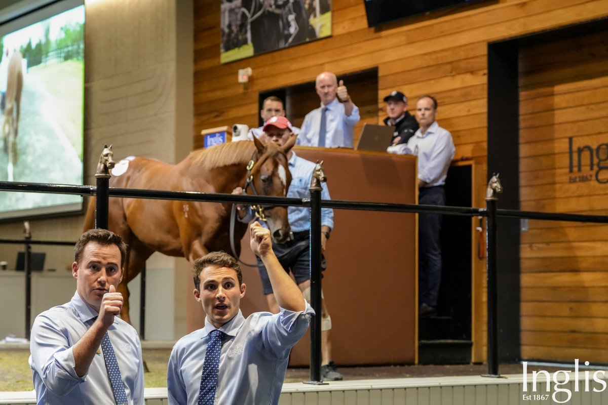 Wednesday, March 4 edition is now live:      

🔶220k Extreme Warrior and Zousain colts headline strong Book 2 finale

🔶Sectionally Speaking: The Autumn freakshow continues

🔶Find the next Well Written: Entries open for Inglis Weanling Sale Series

🔶Group 1-winning colts are