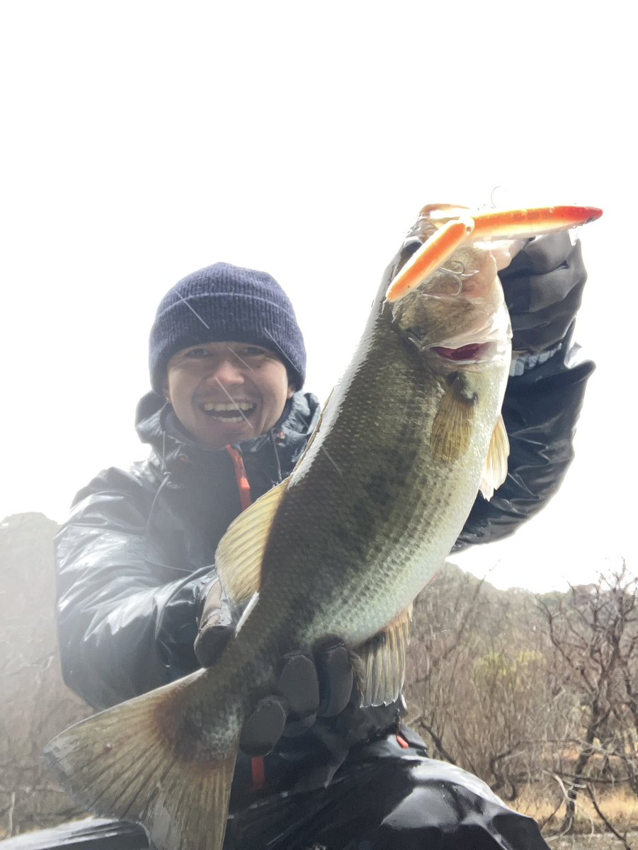 HB968M's tweet photo. 2026.03.03(火) 三島湖
寒い雨の予報でしたが、当たって砕けろ精神で行ってきました☔️
結果は、3バイト2フィッシュ。
今日イチの魚は、BETOBETOのHOO155Fで\(^^)/
セルフタイマー自撮りむずかしい……
#デコ船記
#デコ船記2026
#decologue
#三島湖
#三島ダム https://t.co/YJjV8oWMDu