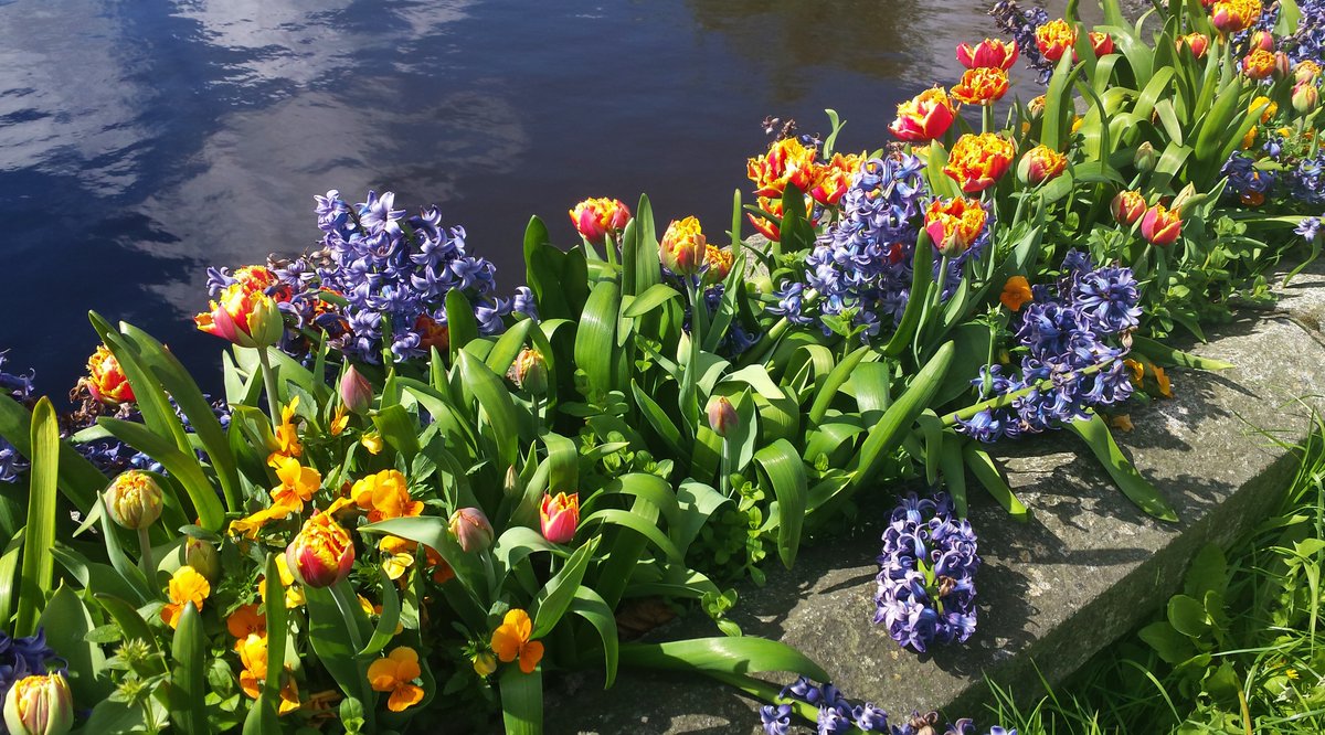 Easy Sail tweet media