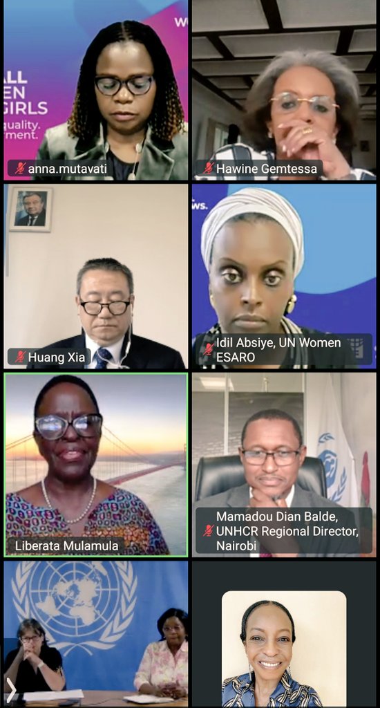 UN Great Lakes tweet media