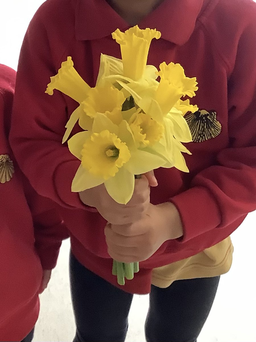 St James's Catholic Primary School tweet media