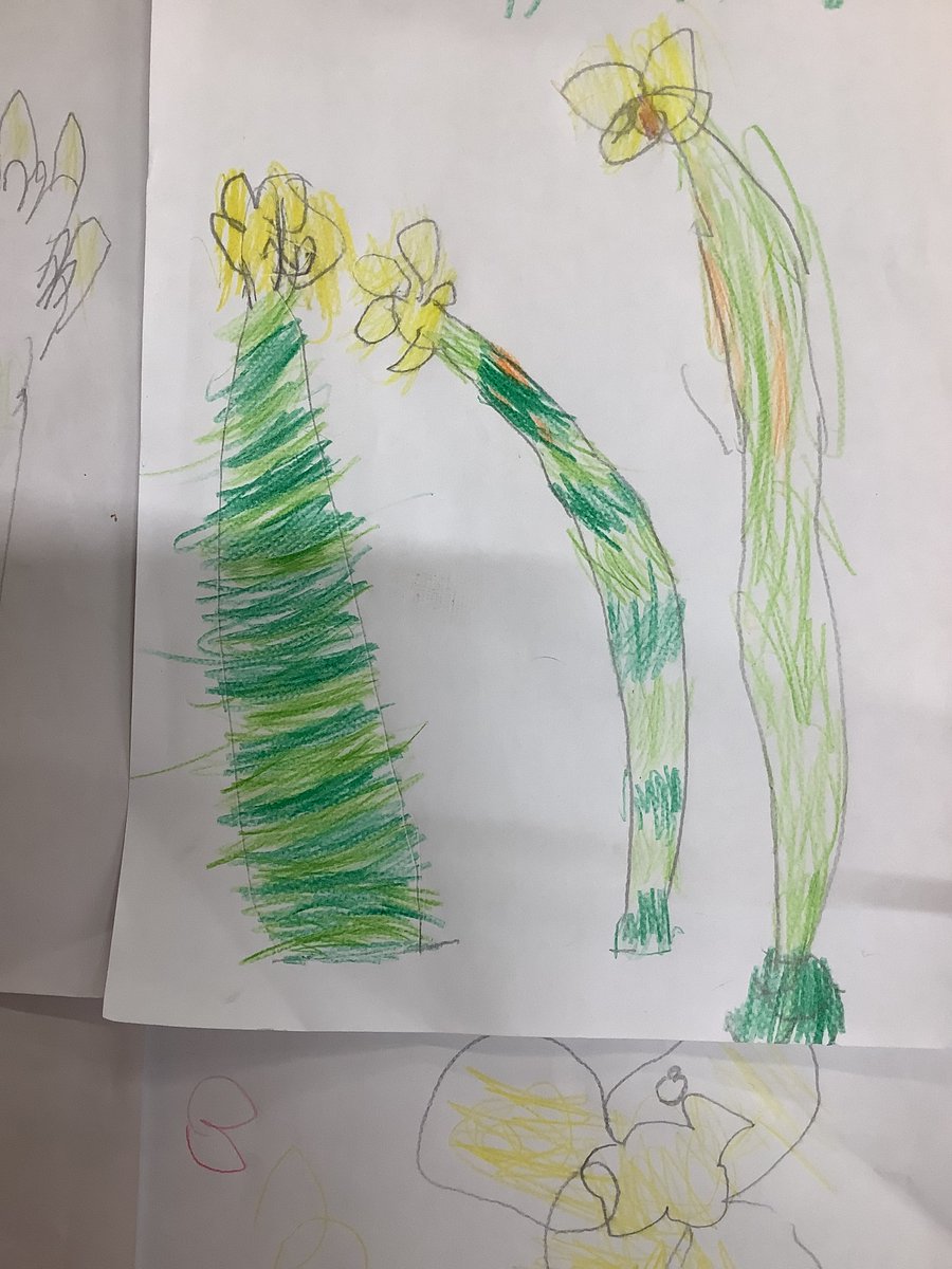 St James's Catholic Primary School tweet media