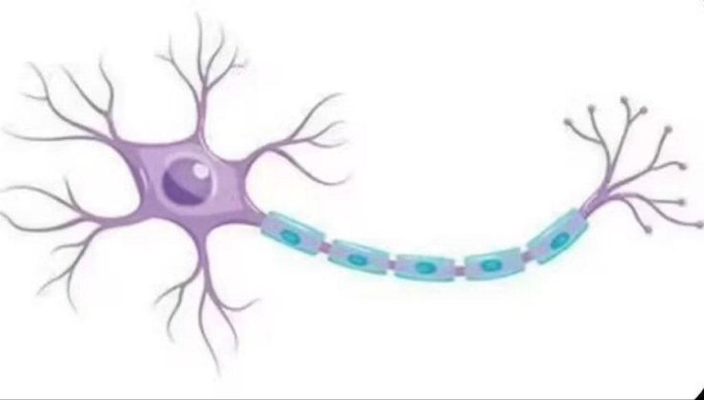 你们有我这神经吗？🤣