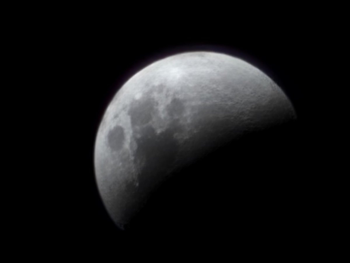 oneplanetmikey tweet media