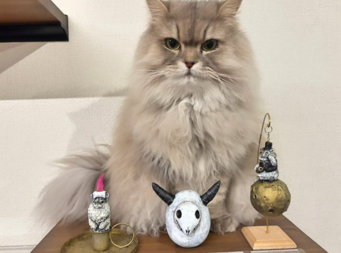 きゃねこ・3/25-31阪神梅田本店2Fクリエイターズビレッジ (@kyanecoxx