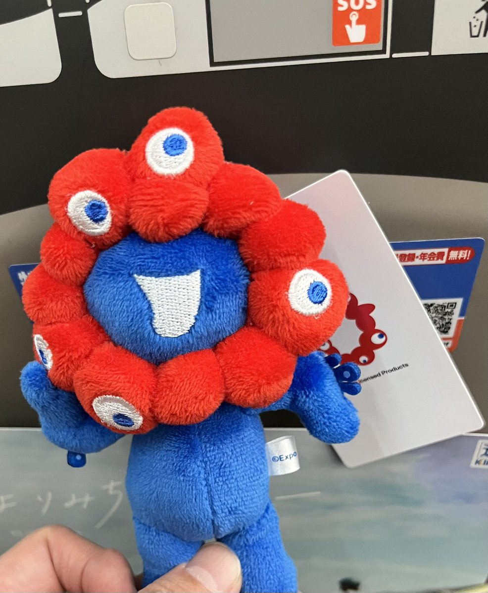 イギー tweet media