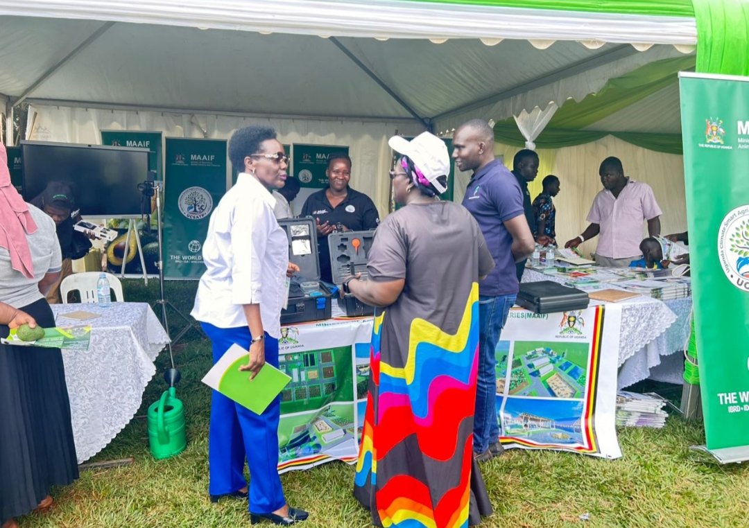 Uganda Climate Smart Agric Transformation Project tweet media