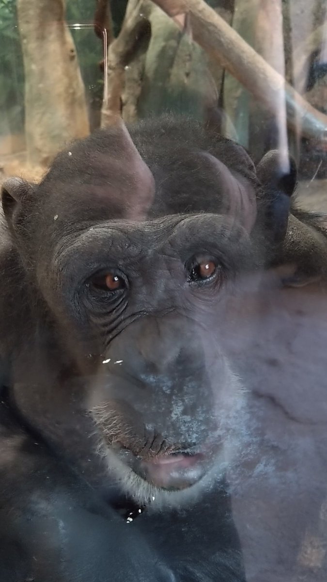 空🌈sora tweet media