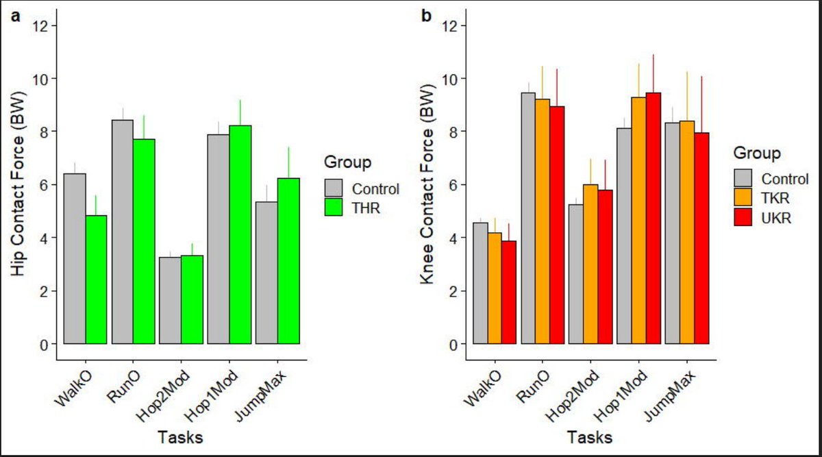AnyBodyTechnology tweet media