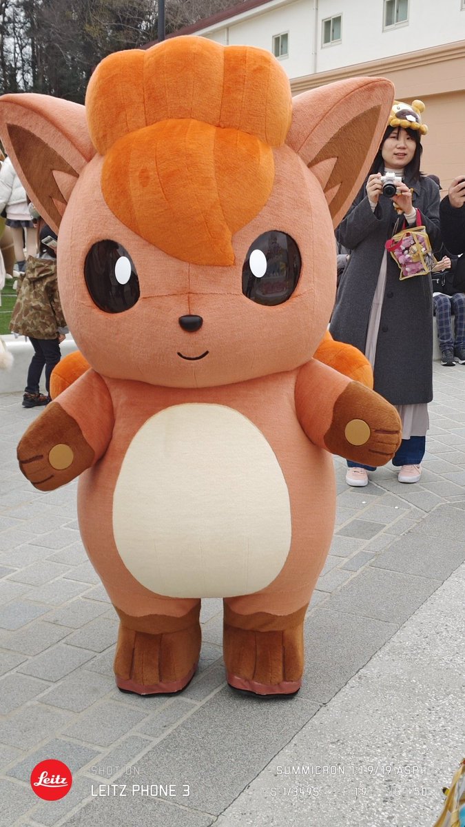 昨日遂にポケパーク行ってきたぞ…！！ 開演1時間半前に来てやったぜ