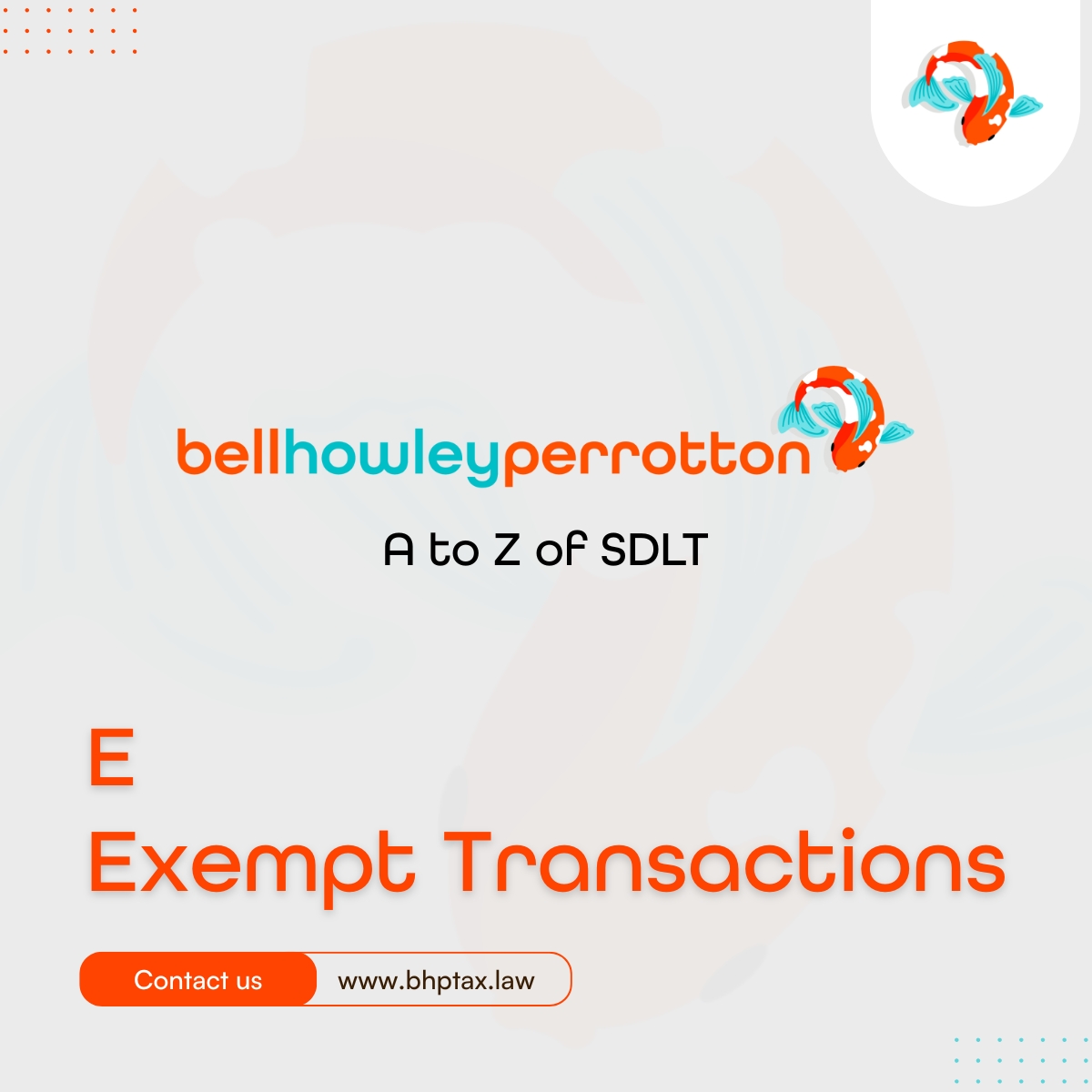 Bell Howley Perrotton tweet media