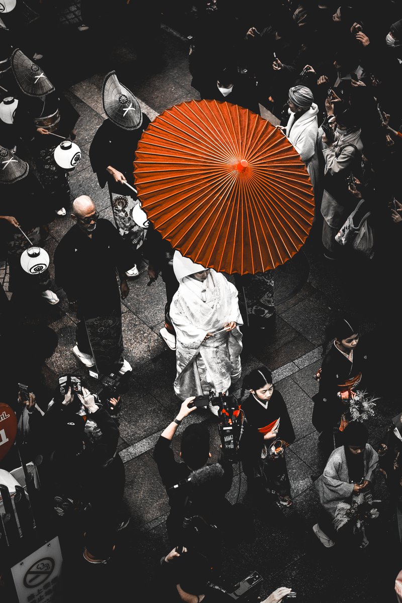 ちぇるしー@日本橋Street Festa (@biscotti716) / Posts / X