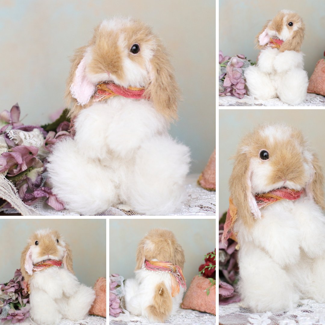 ちゃすけ店長の通販企画に参加する
ブロークンオレンジのおおきなロップさん🐰

端正な顔立ちをしたロップさん。
ふんわりとした抱き心地のうさぎさんなので
たくさん抱っこしてあげてください♡

🎀3月3日うさぎの日 21:00～ 
chakochako.theshop.jp