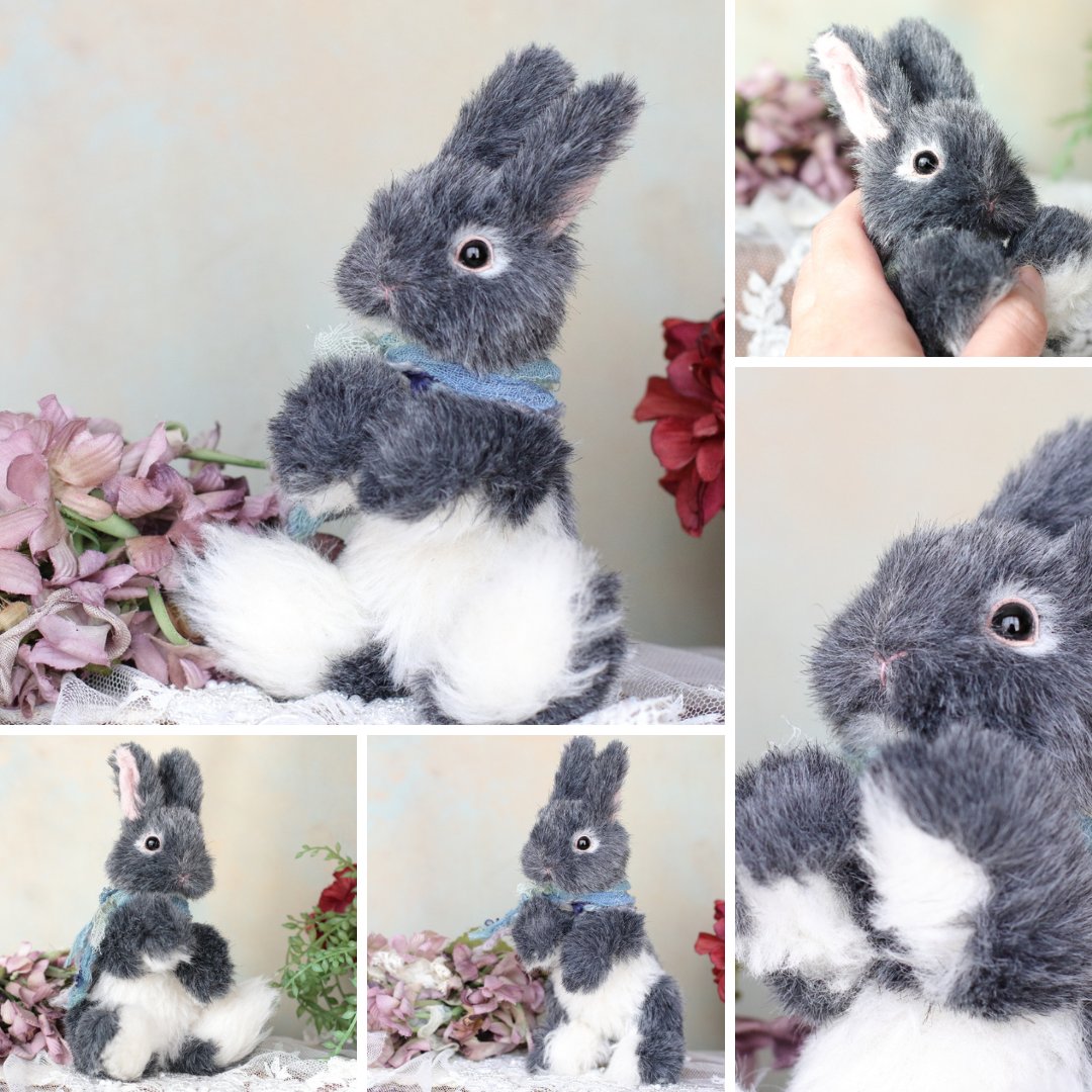 ちゃすけ店長の通販企画に参加する
ブルーグレーのおおきなうさぎさん🐰

ブルーグレーの毛に白色の毛が混ざった、
リアルで素敵な毛並みを身にまとう
カッコいいうさぎさん🐰
触り心地がとってもいい子です♡

🎀3月3日うさぎの日 21:00～
chakochako.theshop.jp