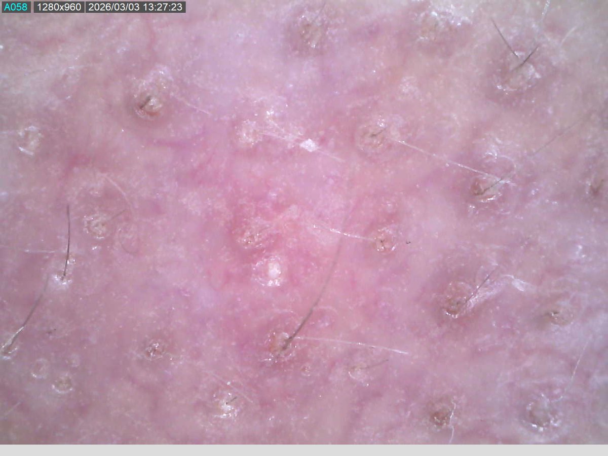 doa kozmetik tweet media