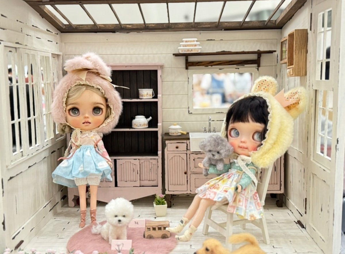 Mr. Hoffmann's Toy Box-2026.5.17 & 11.22 (@hoffmanntoybox) / Posts / X