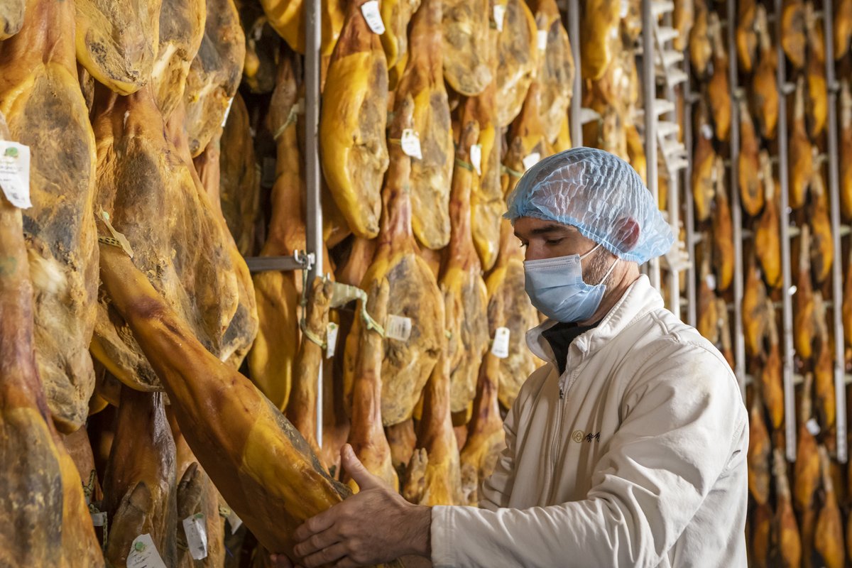 International Ham Institute tweet media