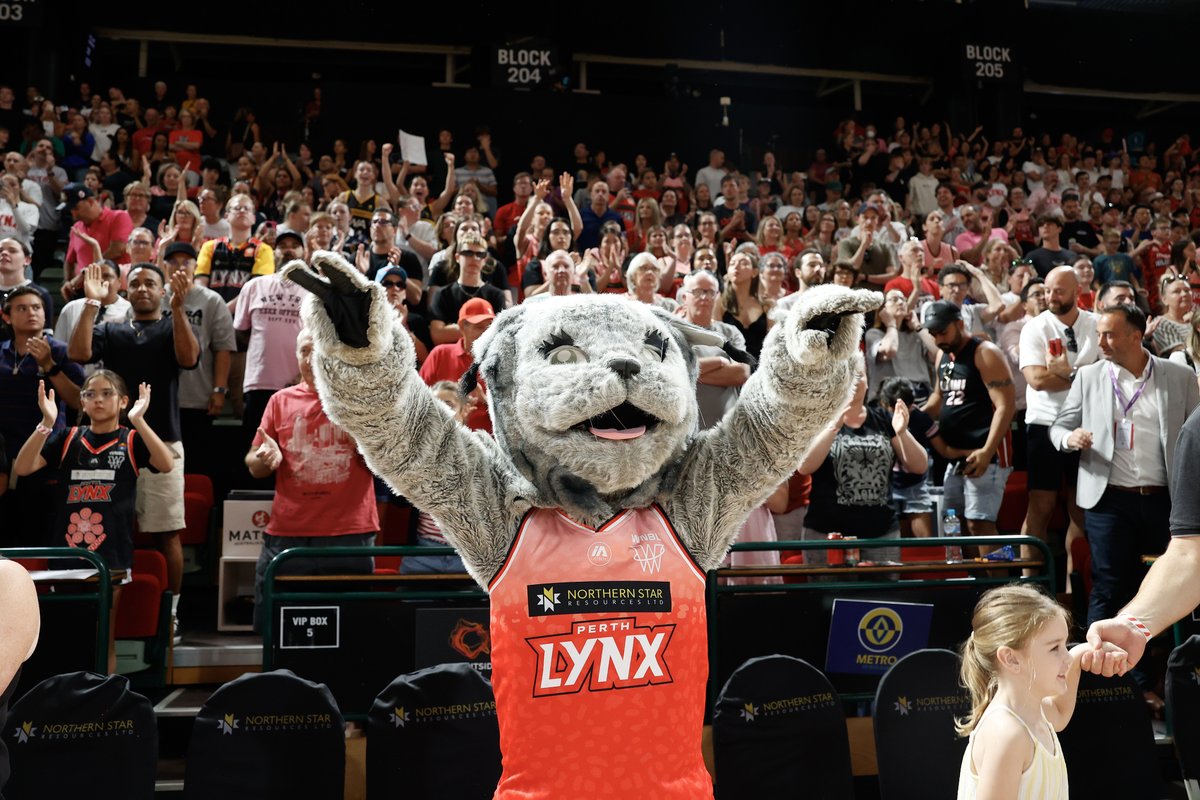 Perth Lynx tweet media
