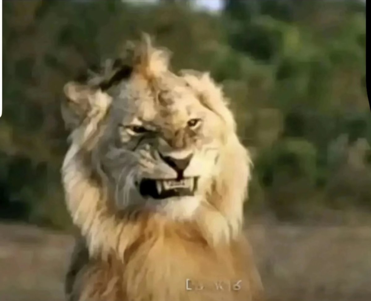 Zetarium Please, when Checker ???

When claim ????