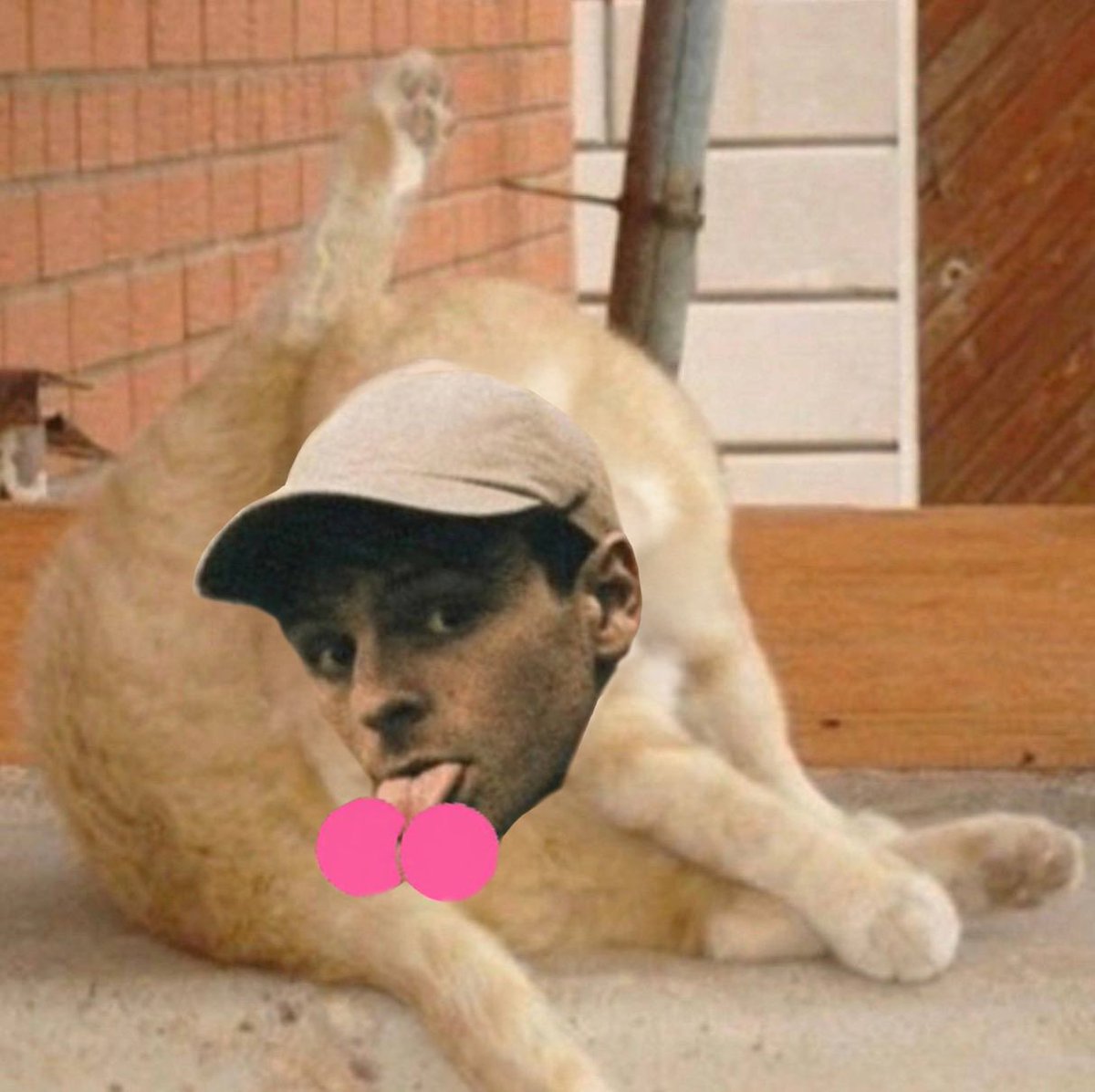 Jup Studio tweet media